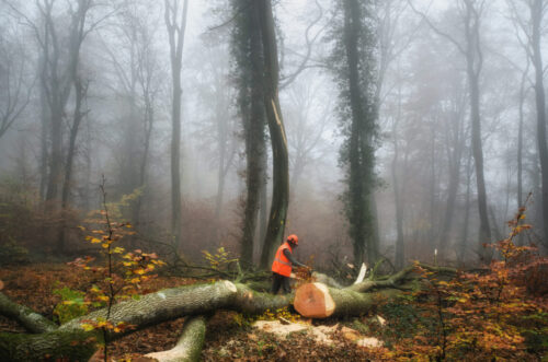 Forestry Worker