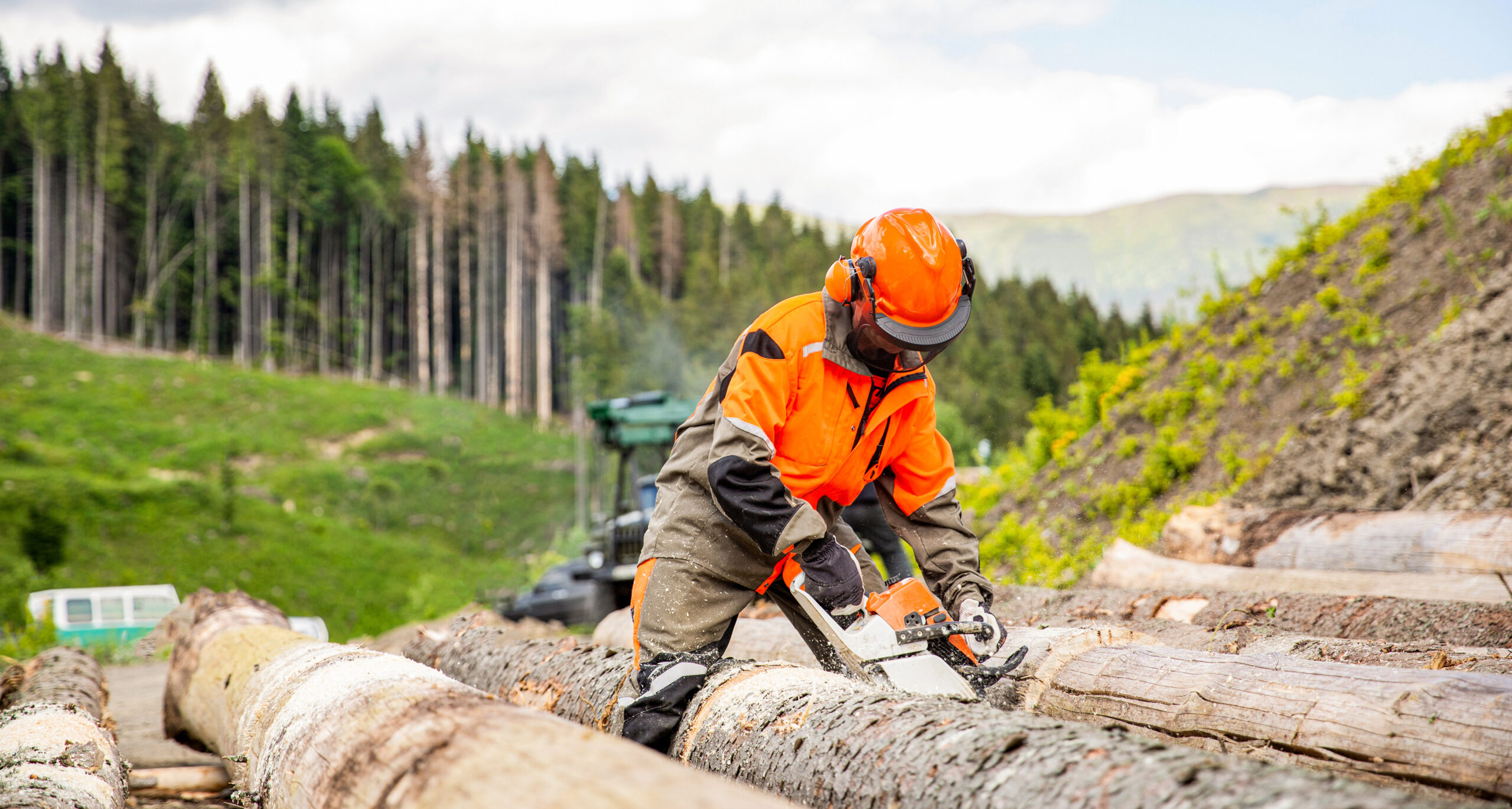 Forestry First Aid